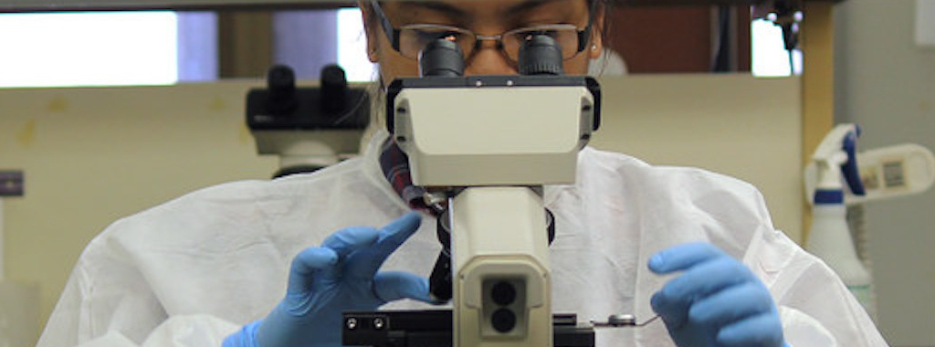 Student using microscope in lab.