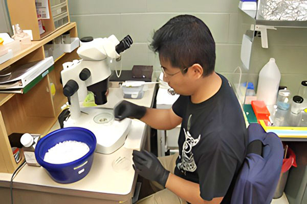 student working in the Institute for Biogenesis Research