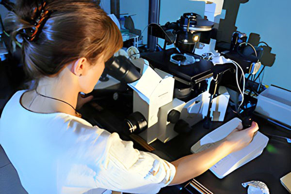 transgenics core staff looking through microscope