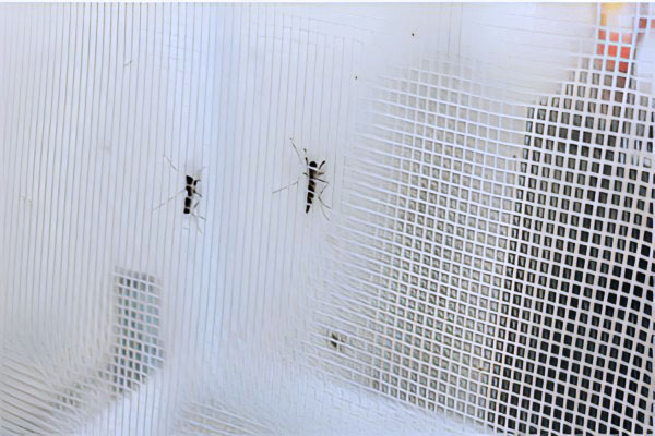 biocontainment of mosquitos