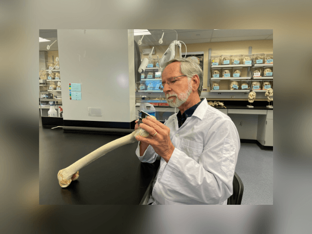 Dr. Robert Mann in his lab at JABSOM.